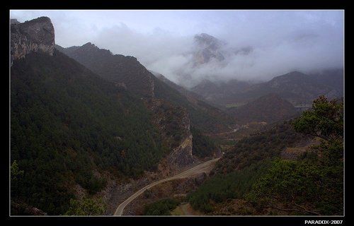 В краю целительных туманов