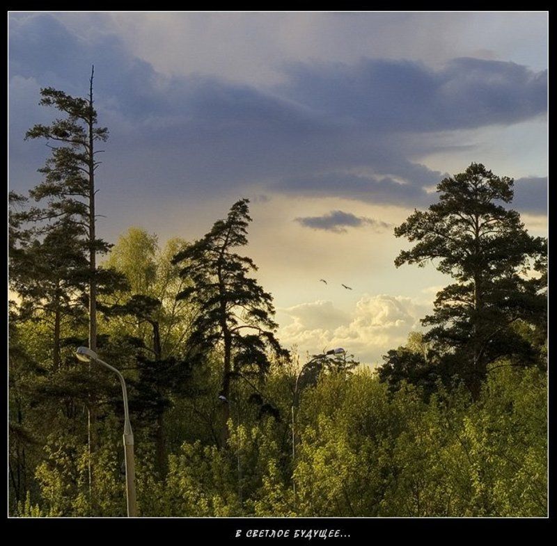 В светлое будущее...photo preview