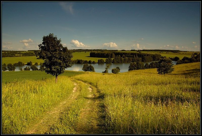 лето, зелень, жара C отпуска вернулсяphoto preview