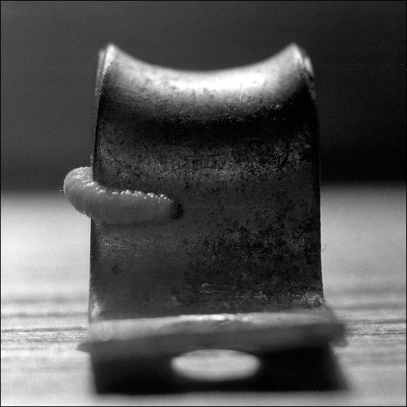 Untitledphoto preview