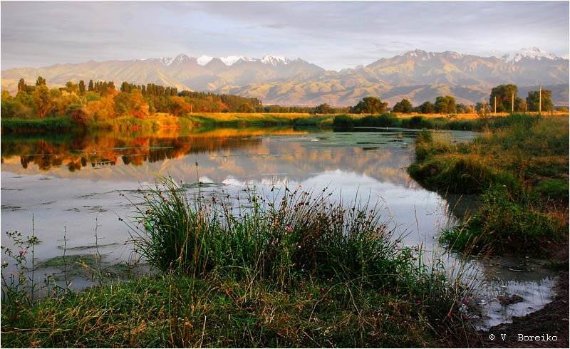 Из тени в свет перелетая. Автор: Вадько , Вадько