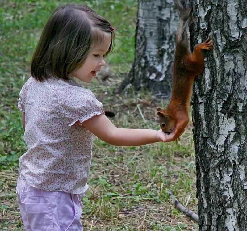 белка Белка#2photo preview