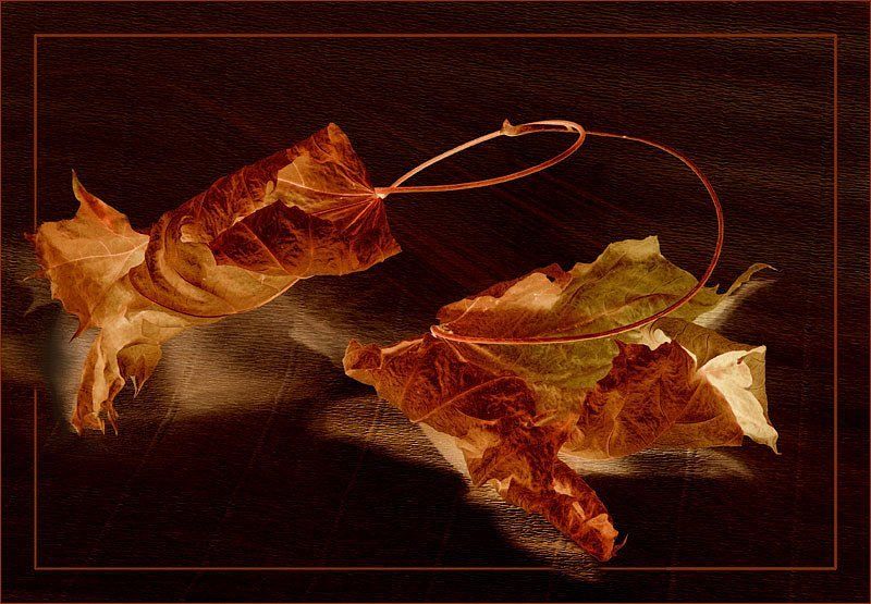 фотоарт,осень Не уходи...photo preview