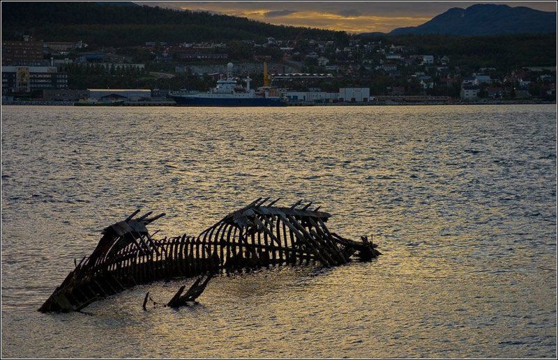 Про морское чудовище у норвежских берегов..photo preview
