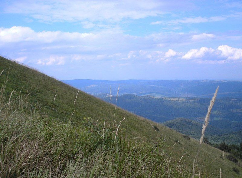 горы, карпаты, небо, тучи, трава, украина Диагональphoto preview