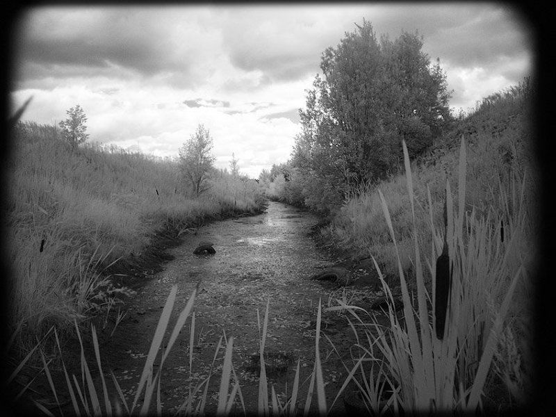 ик,инфракрасная,infrared,ir Берегите природу, мать вашу...photo preview