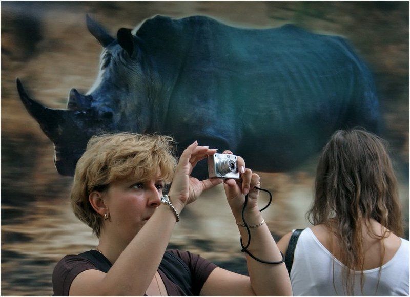 выставка стива блума Дикий Мирphoto preview