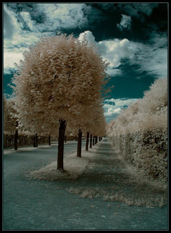 ик, infra red, инфракрасная съемка ****photo preview