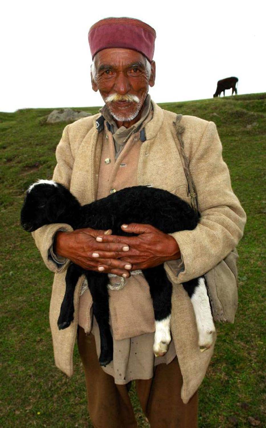 Это всё моё, родное!. Автор: DimON старик ягнёнок портрет жанр гималаи, DimON