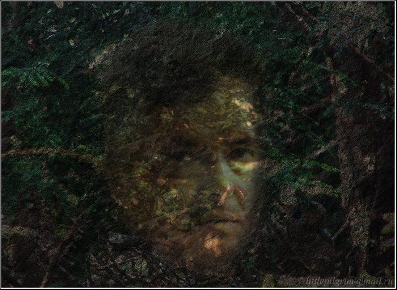 коллаж, монтаж, collage, montage, little pilgrim Земляphoto preview