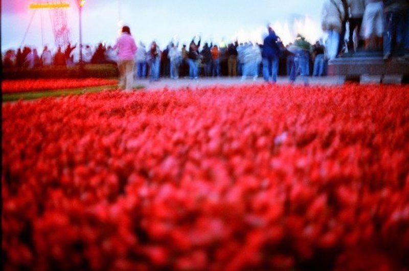 черно-белые сны...бывают цветнымиphoto preview