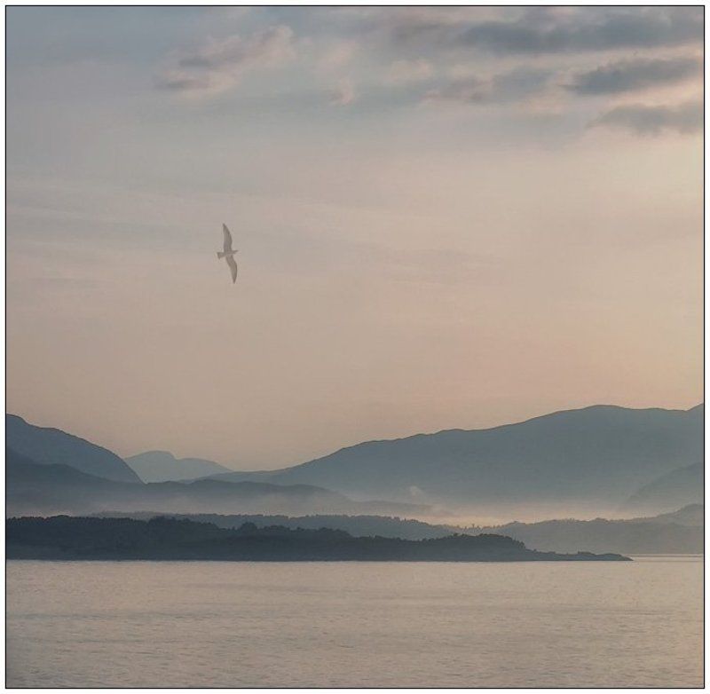 Ноктюрнphoto preview