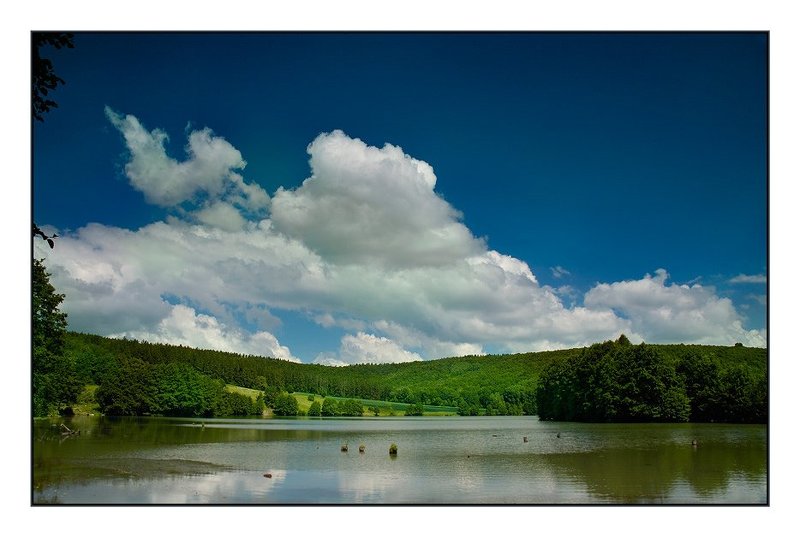 пейзаж, лето, озеро, лес Не за долларами...photo preview