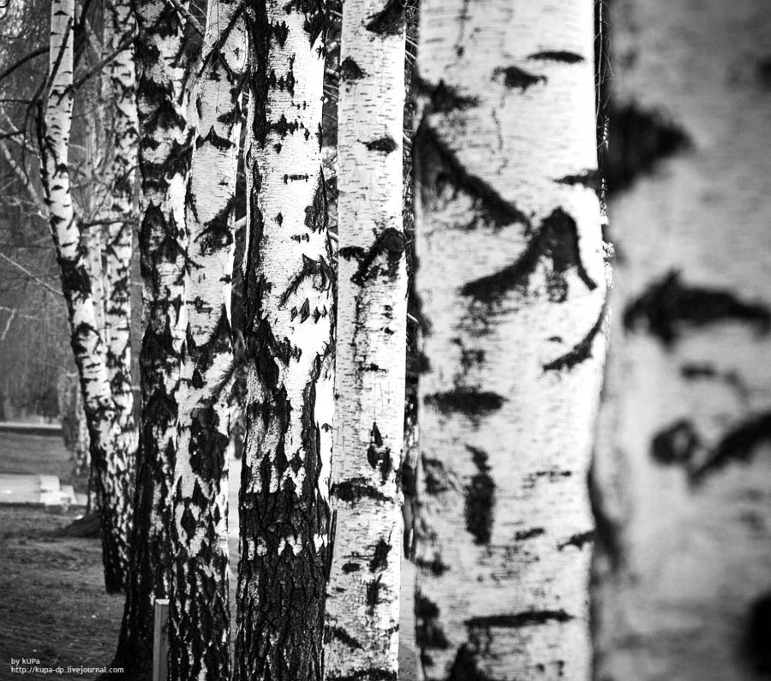 закат, город, небо, kUPa