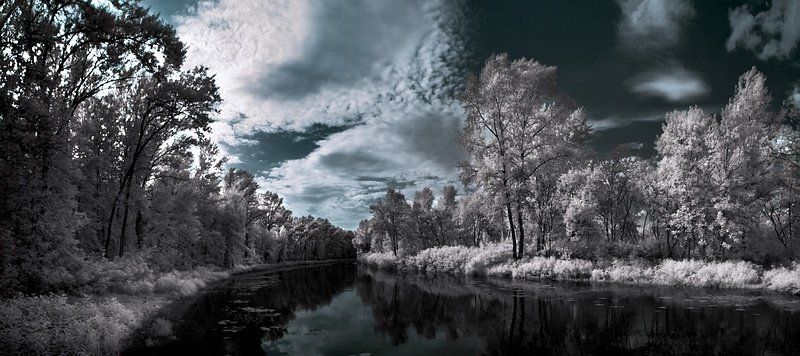 лето, ик, пейзаж летнее, инфракрасное...photo preview