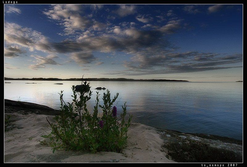 ладога Неприхотливостьphoto preview