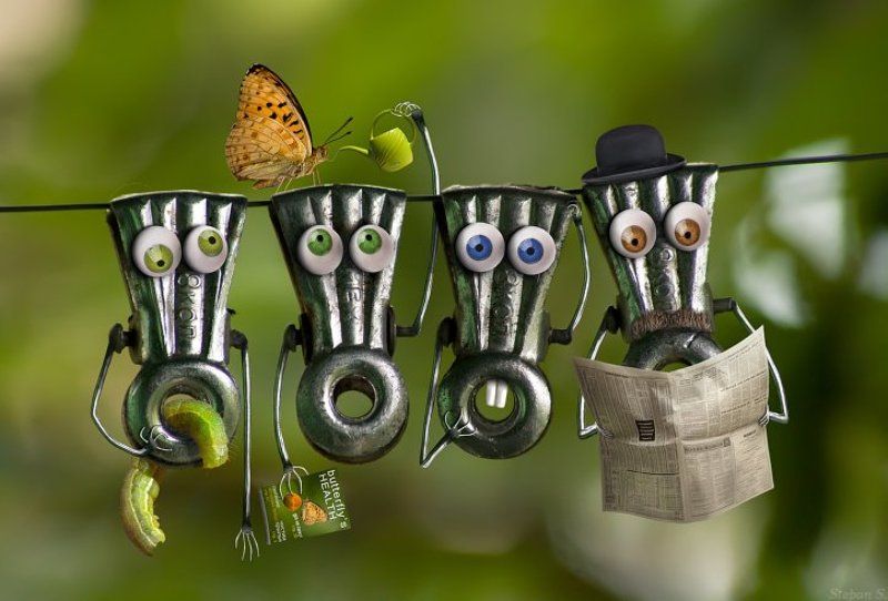 И так каждый день :)photo preview