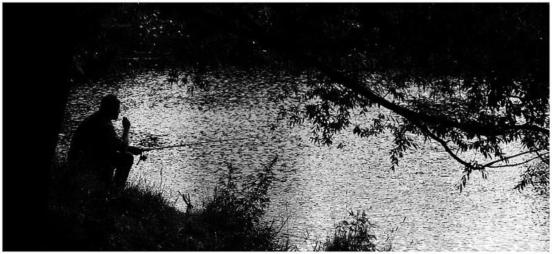 силуэты знойный полденьphoto preview