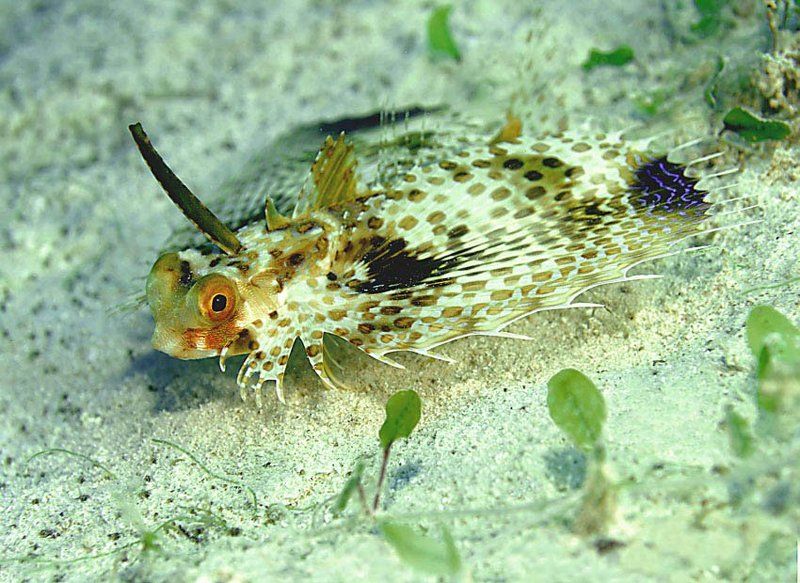 Сейчас взлечуphoto preview