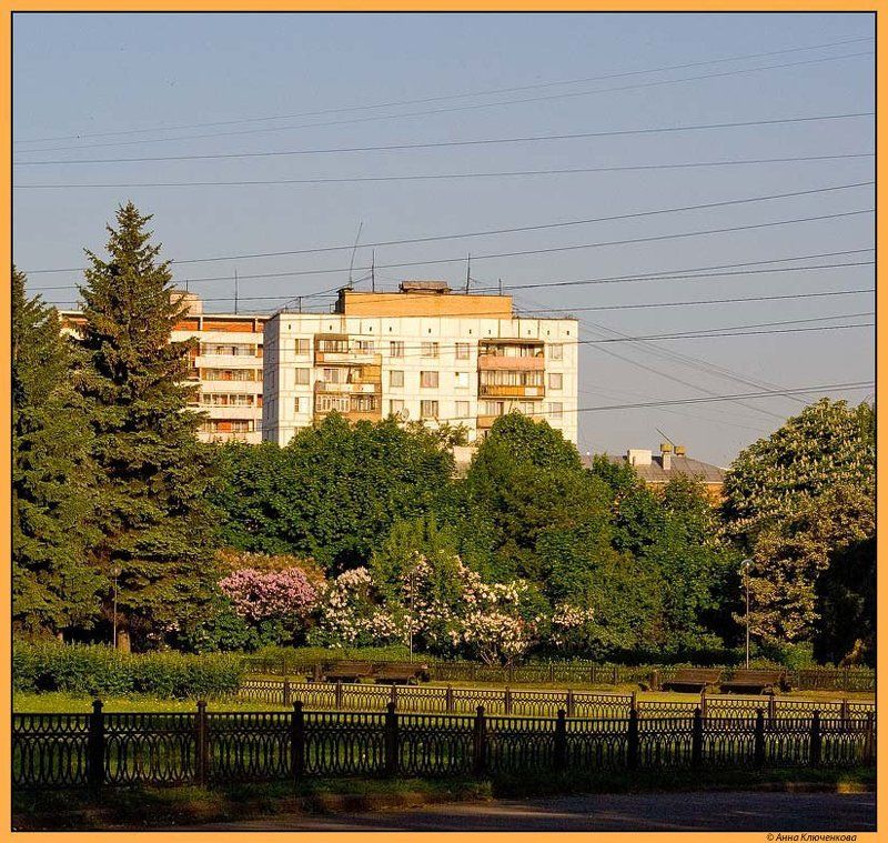 Happy Housephoto preview