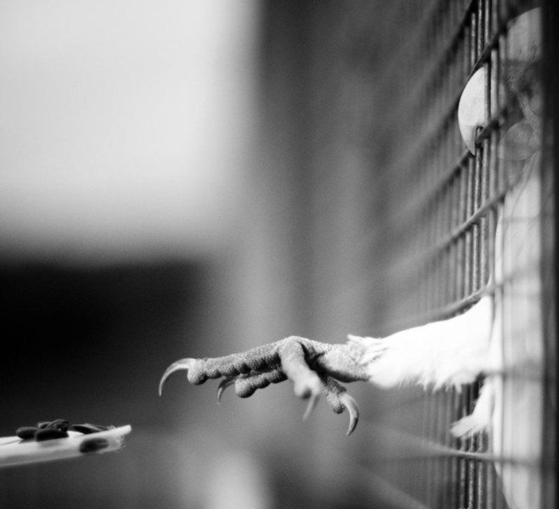 gimme some of that stuff, would ya?!photo preview