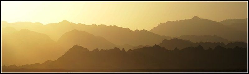 египет синай  красное море Золото Египтаphoto preview