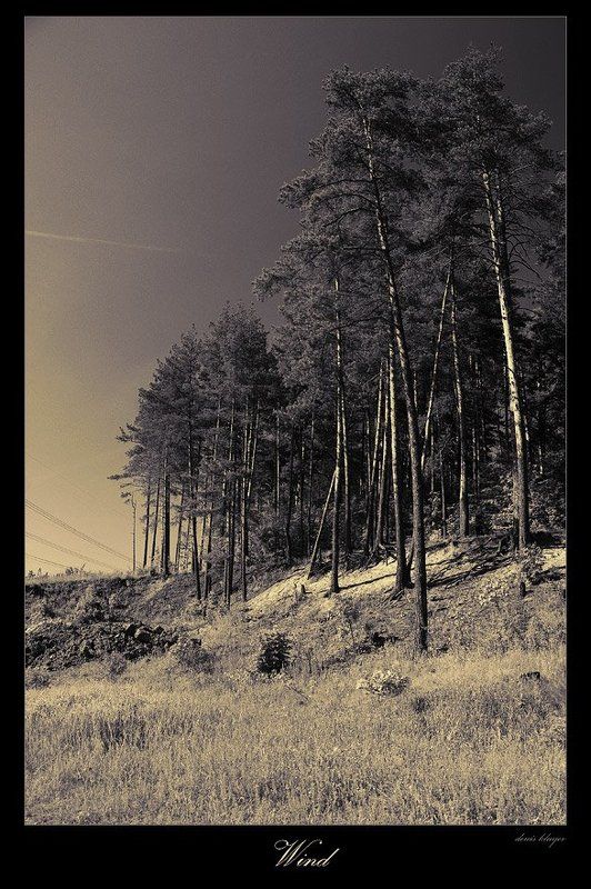 Ветерphoto preview