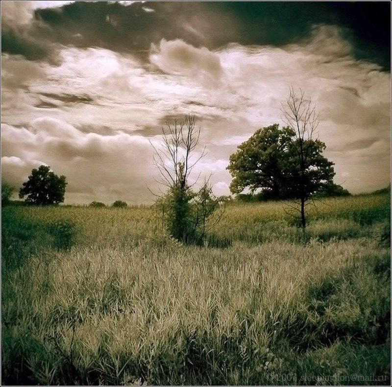 Somewhere between...photo preview