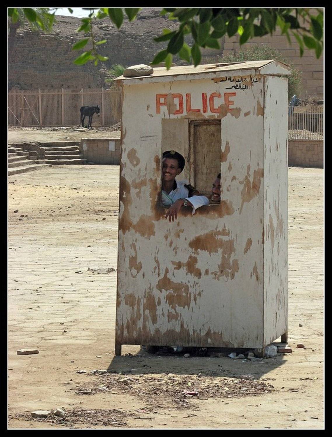 , Лунный Ежик