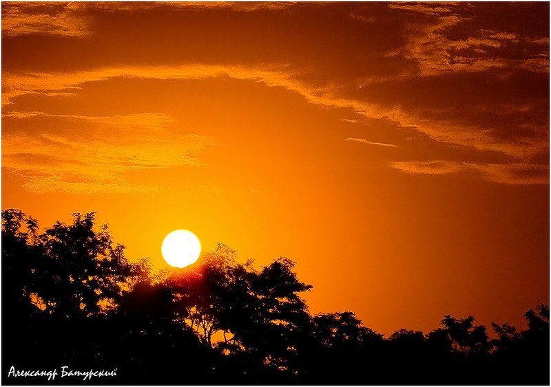 Солнечная прелюдияphoto preview