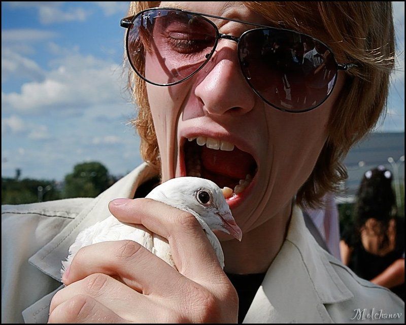 голубь, чувак, мужчина, екатеринбург, свадьба, птица, небо, облака Спой, птичка!photo preview