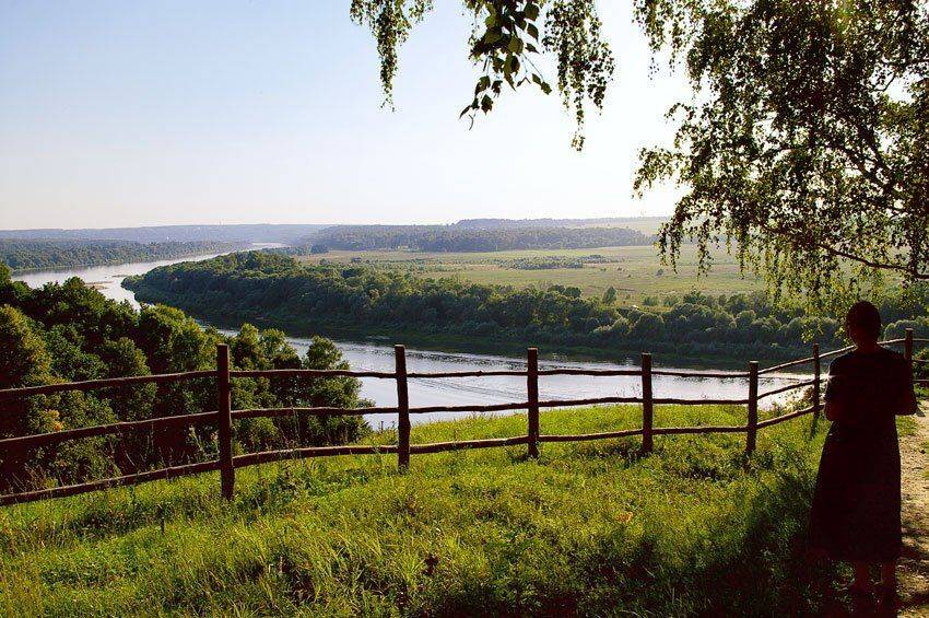 родина, забор, и, дальние, страны, Александр Абалихин