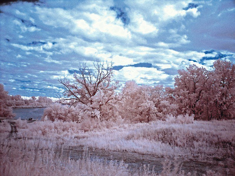 пейзаж, инфракрасный Инфракрасный взгляд на мирphoto preview