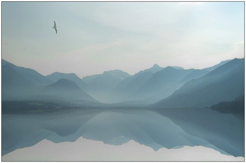 шутка кардиограмма Норвегииphoto preview