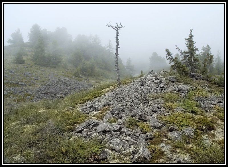 горы , туман Дорога в туманеphoto preview