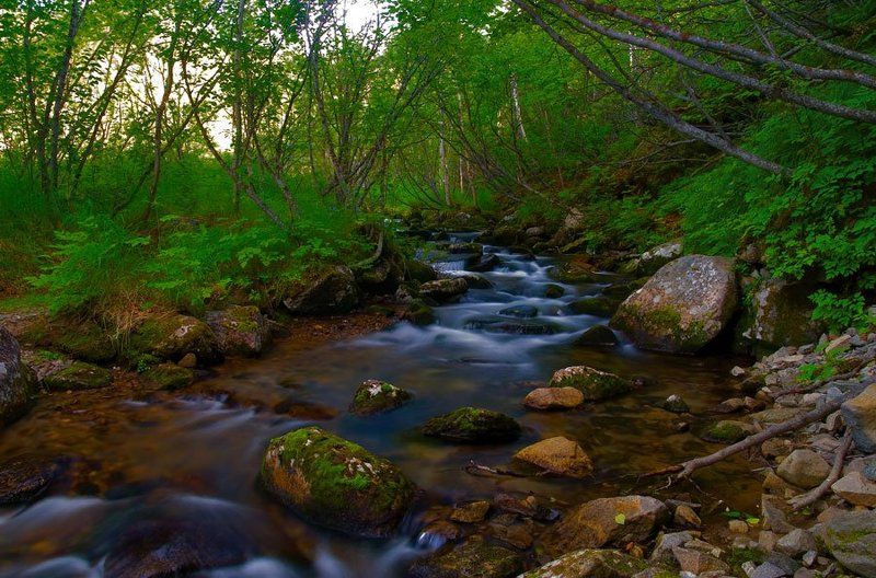 холодный Ручей Холодныйphoto preview