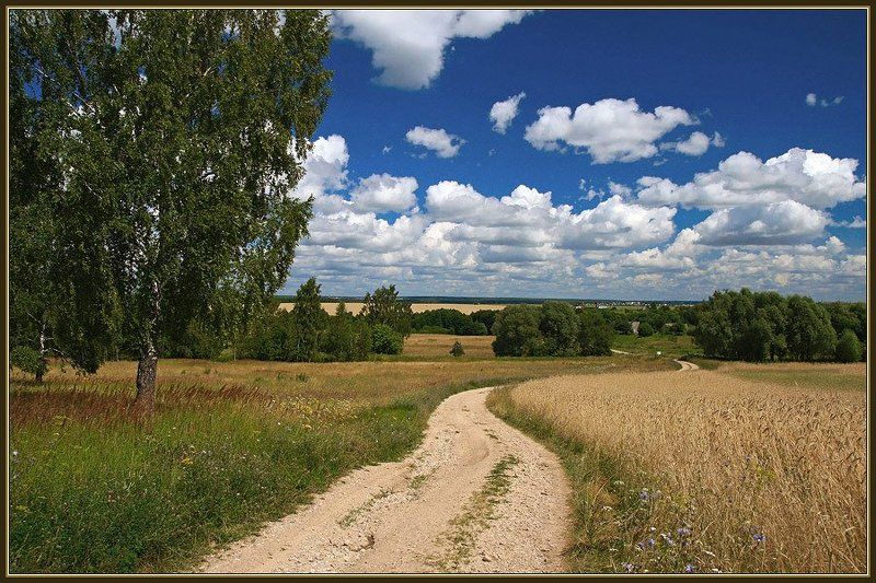 Дорожкаphoto preview