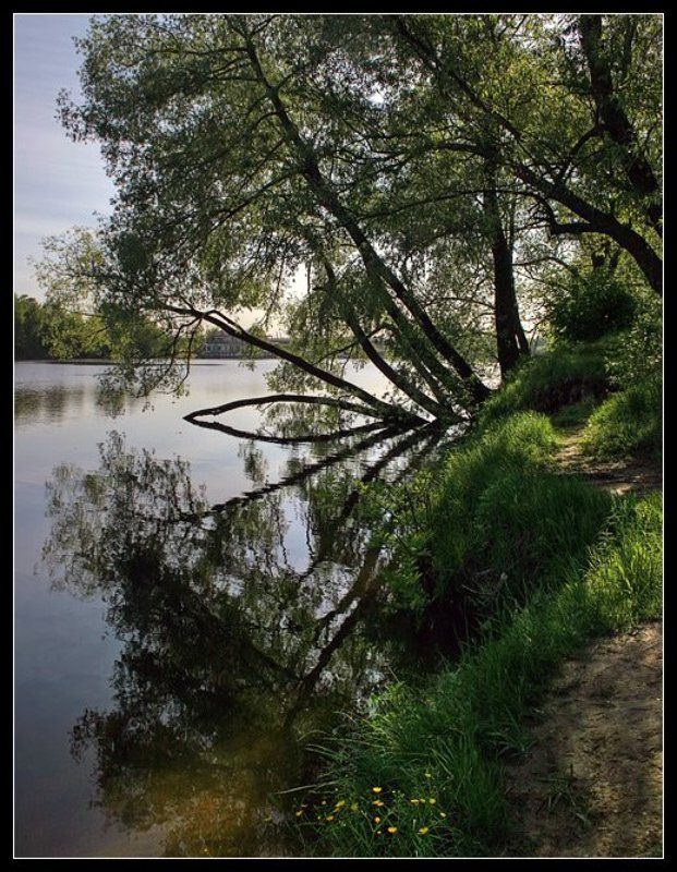 Полденьphoto preview