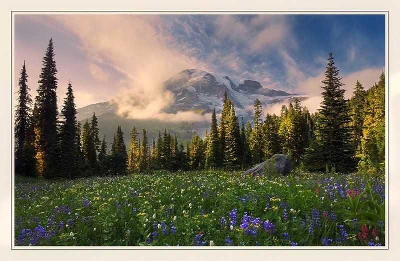 In God's Garden II