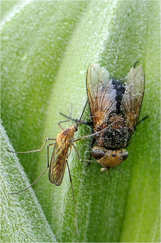 Стоять! Предьяви регистрацию!photo preview