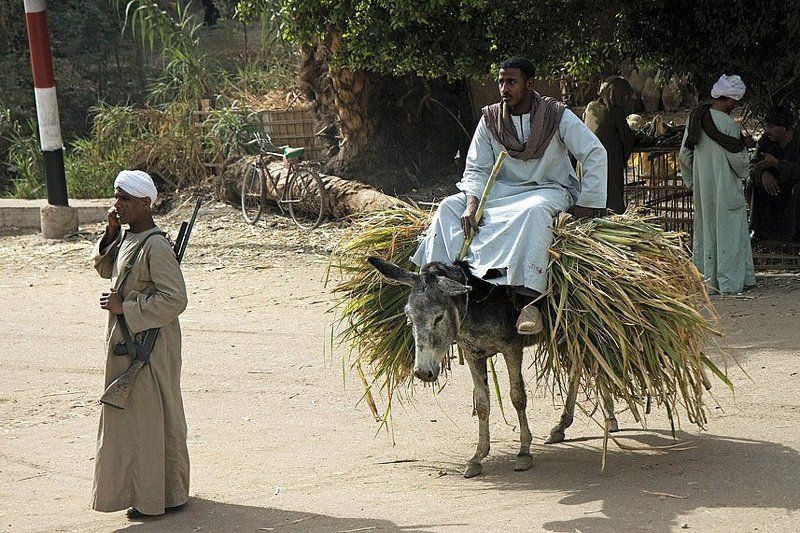 египет,люди,автомат,жизнь,урожай,охрана,микус Египет.жизнь без ретуши.photo preview
