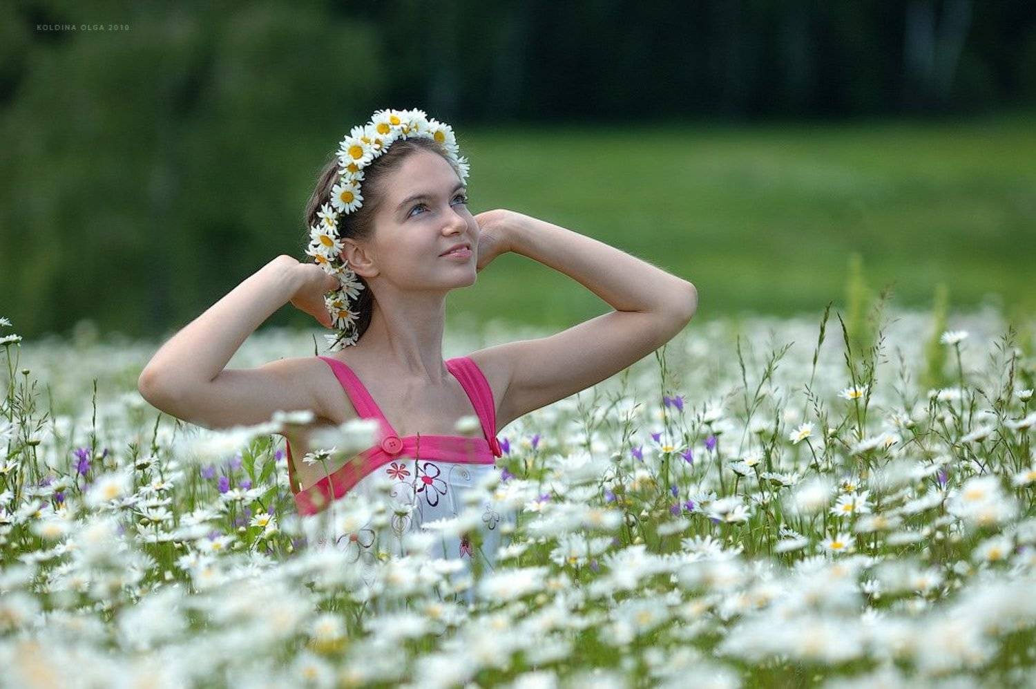 Ромашки. Автор: ada_uzie , ada_uzie