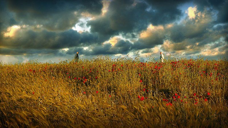 встреча с самим собой и наоборот.photo preview