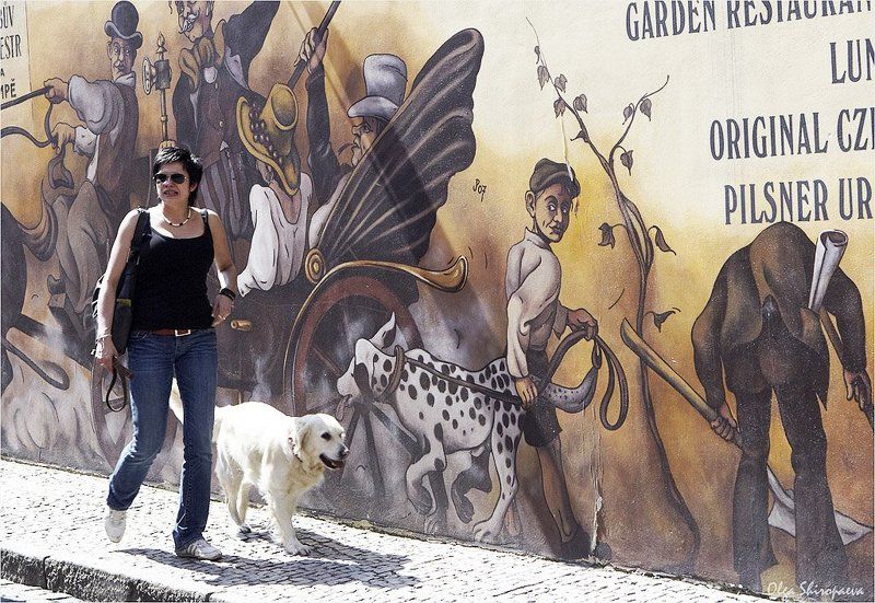 прага, собака, лето, встреча Встреча.photo preview