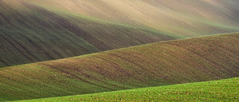 czech, field, wave, curve, europe, famous place, landscape, natural landmark, nature, bent, autumn, grass, travel, travel destination, travel and tourism, water, outdoor, view, colorful,  sunset, mood, fall, green, beautiful, vast, bend, calm, silence, im Ocean #1photo preview