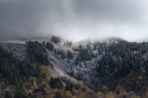 Frosty Autumn