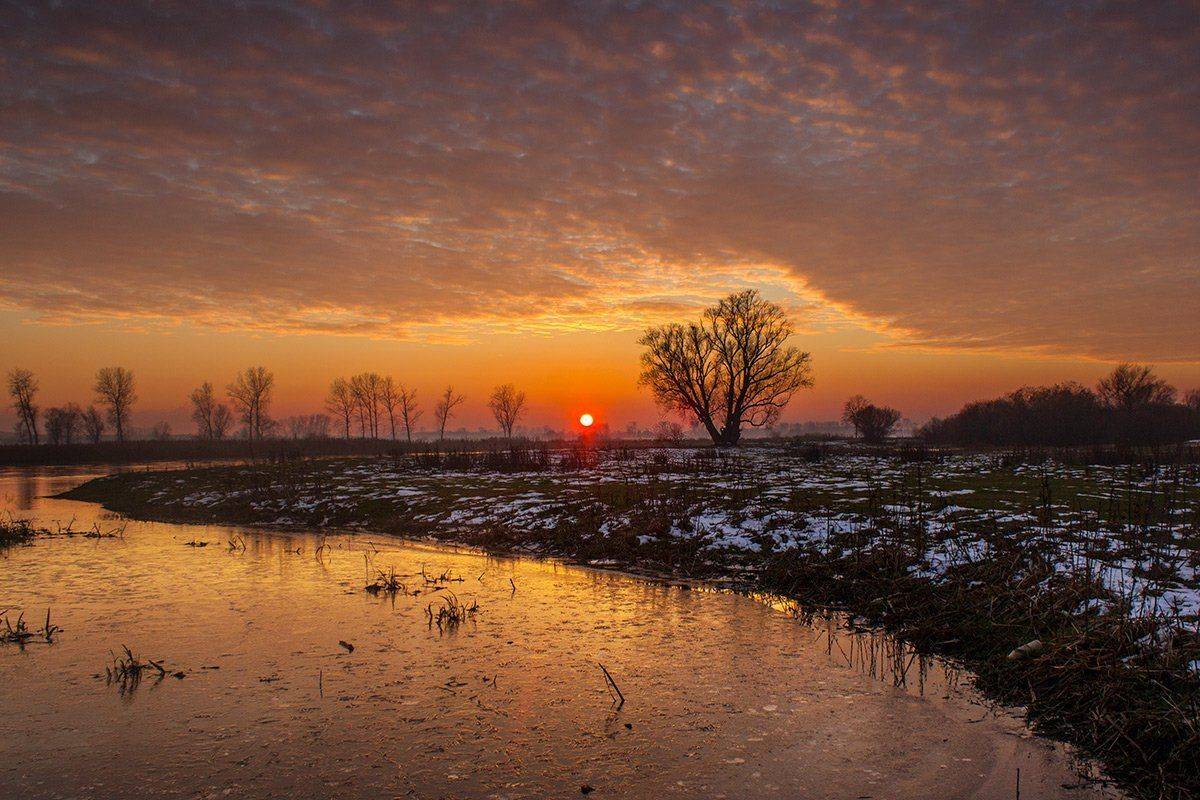 Автор: Pawel Plucinski , Pawel Plucinski