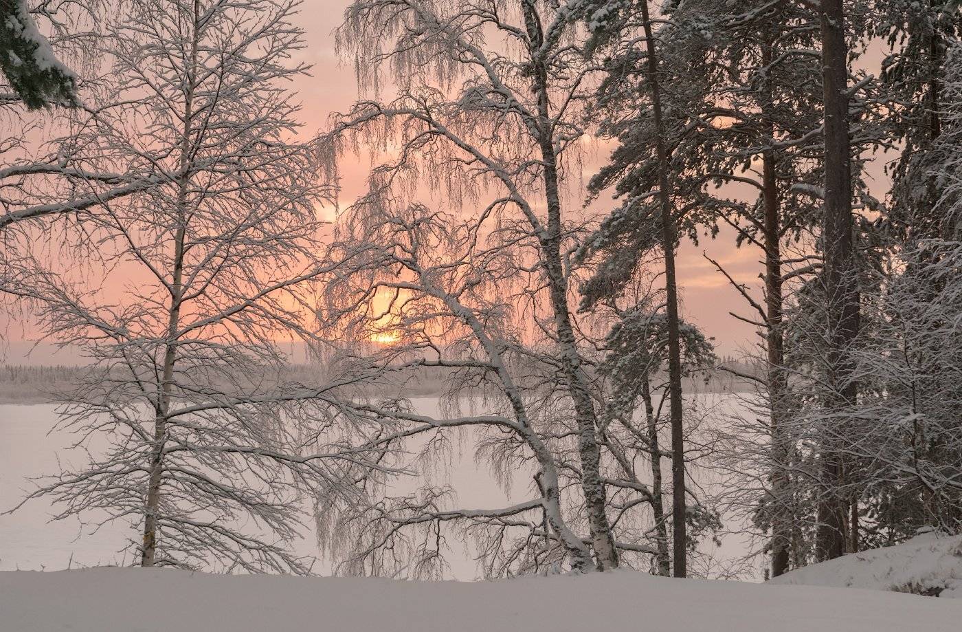 Берег р.Печора. Автор: Игорь Подобаев печора,коми,север,ноябрь,снег,закат, Игорь Подобаев