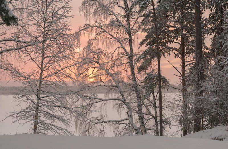 Берег р.Печораphoto preview