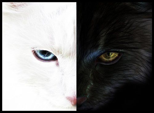 duality